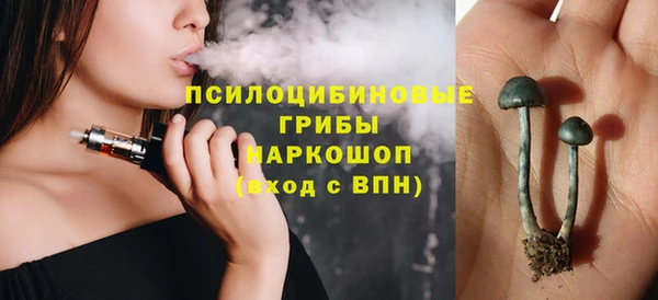 прущие крисы Переславль-Залесский