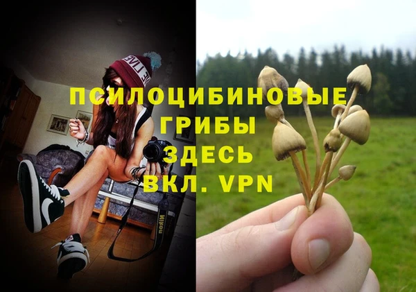 прущие крисы Переславль-Залесский