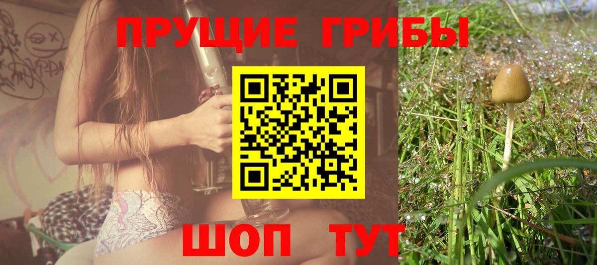 Псилоцибиновые грибы мицелий  Галлюциногенные грибы Magic Shrooms  Советск  Вход с VPN 